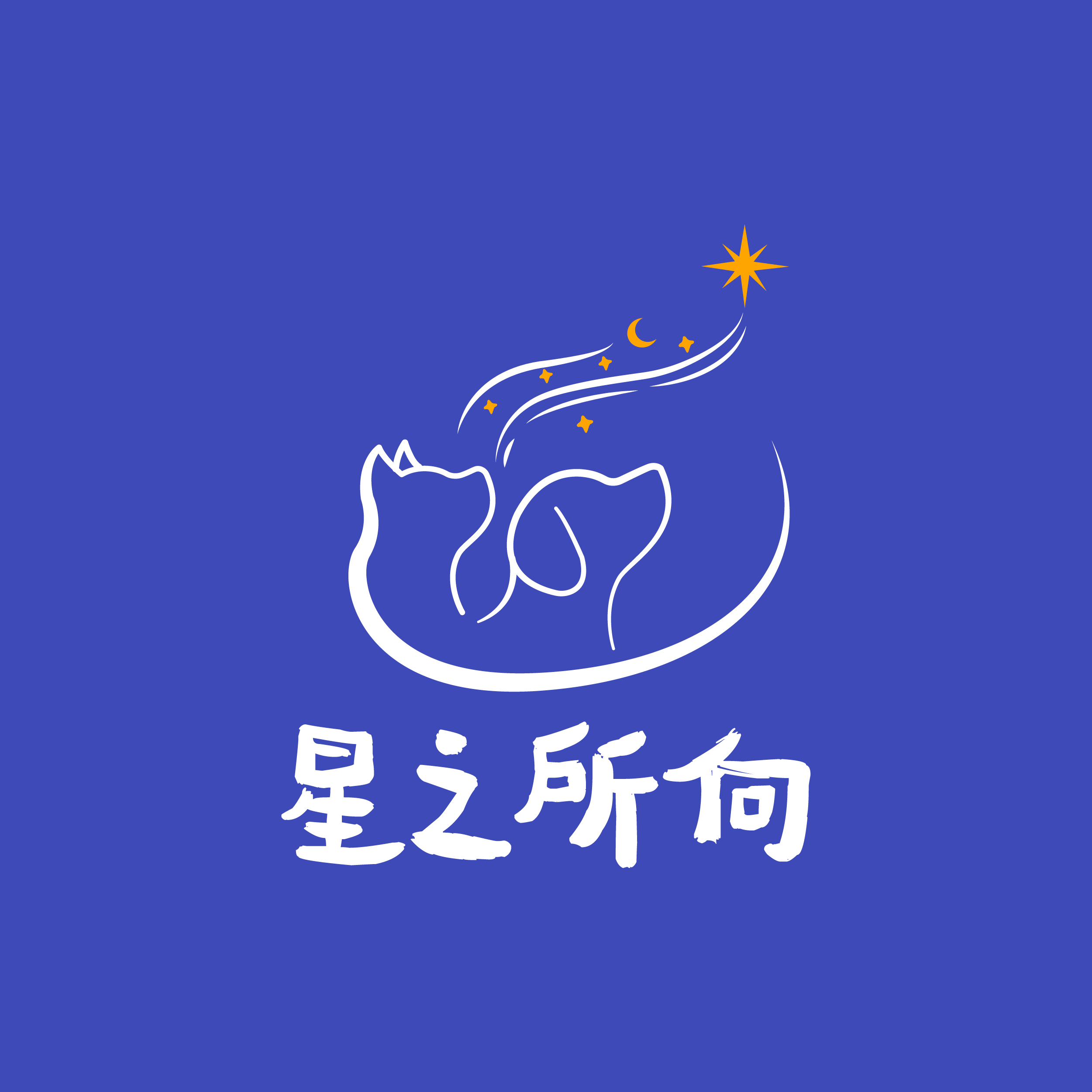 星之所向